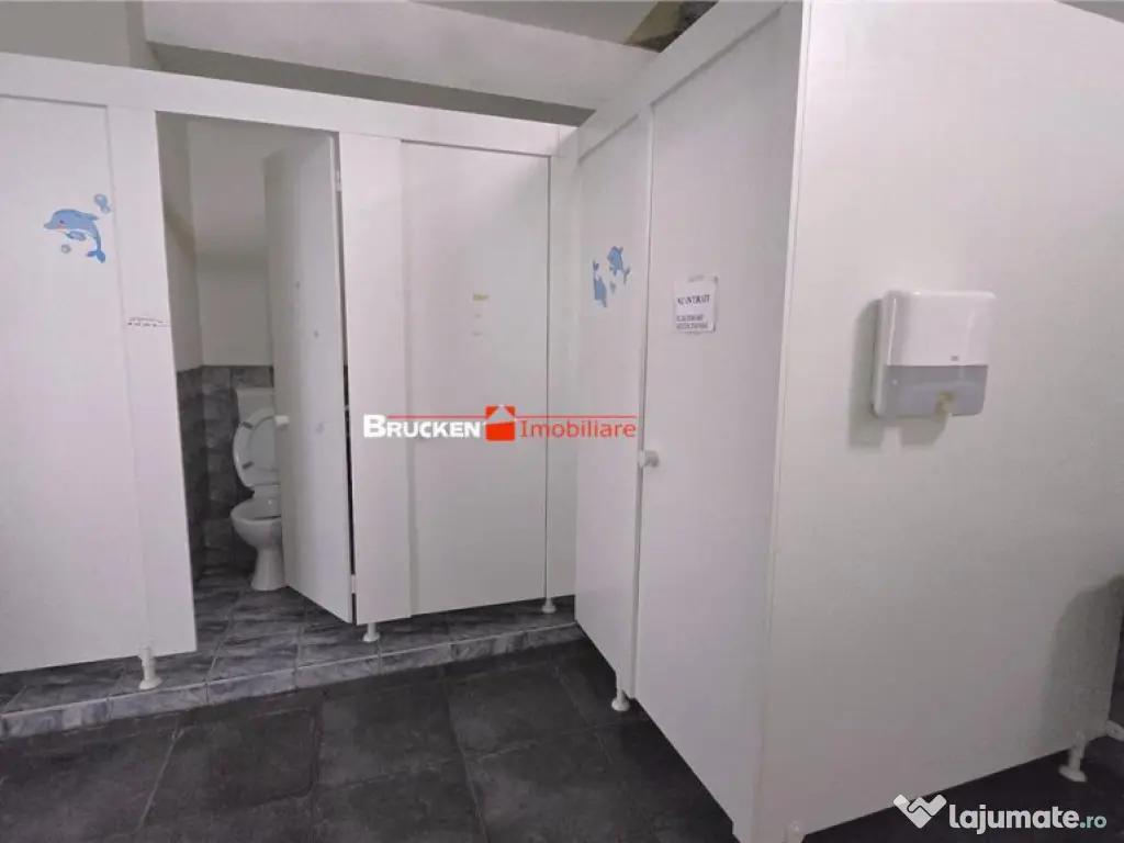 Showroom cu hala si spatiu locativ – Marghita, Bihor