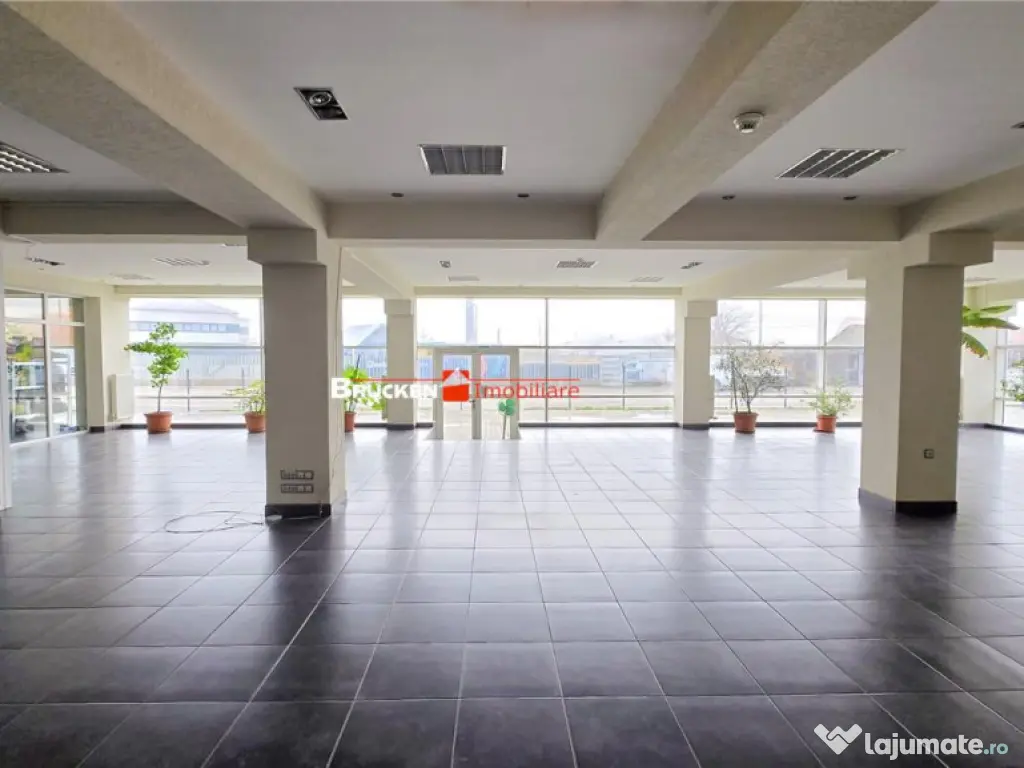 Showroom cu hala si spatiu locativ – Marghita, Bihor