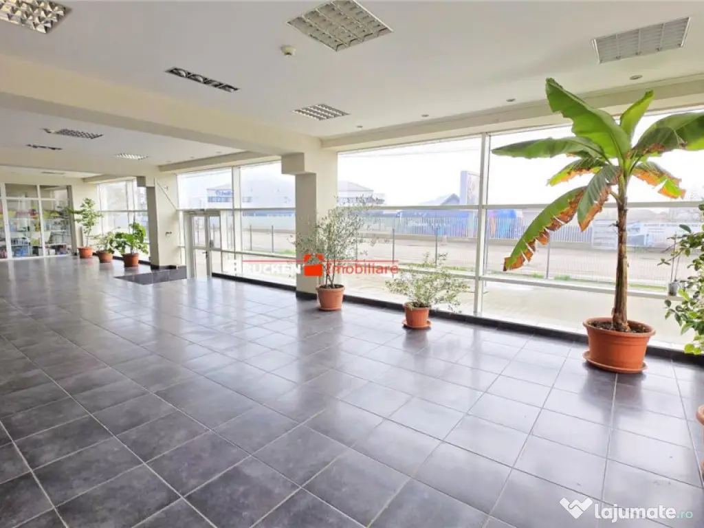 Showroom cu hala si spatiu locativ – Marghita, Bihor