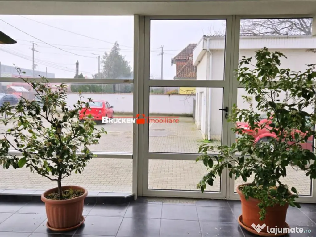 Showroom cu hala si spatiu locativ – Marghita, Bihor