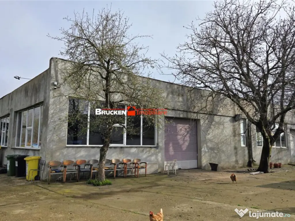 Showroom cu hala si spatiu locativ – Marghita, Bihor