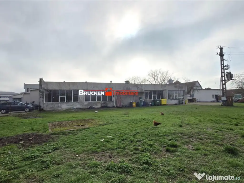 Showroom cu hala si spatiu locativ – Marghita, Bihor