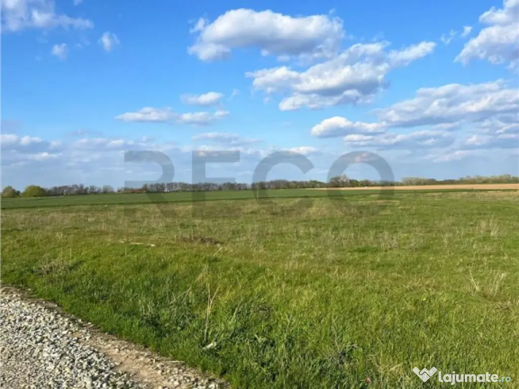 RECO teren de in zona Tarian 