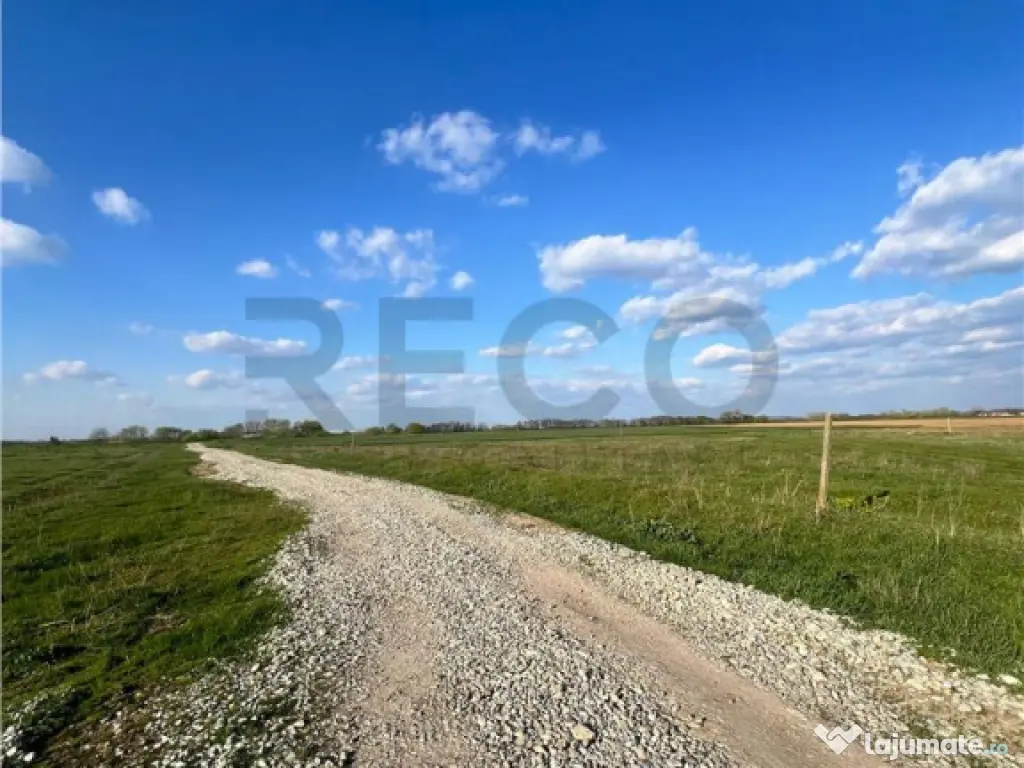 RECO teren de in zona Tarian 