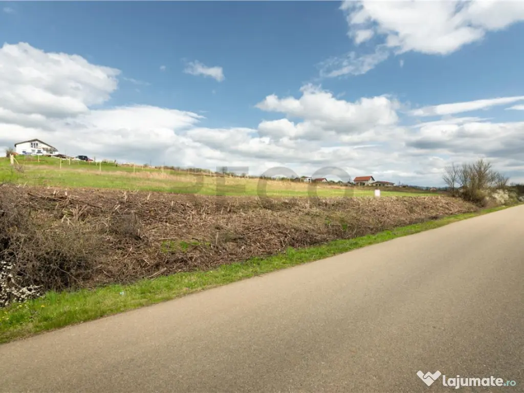 Teren intravilan Cetariu 