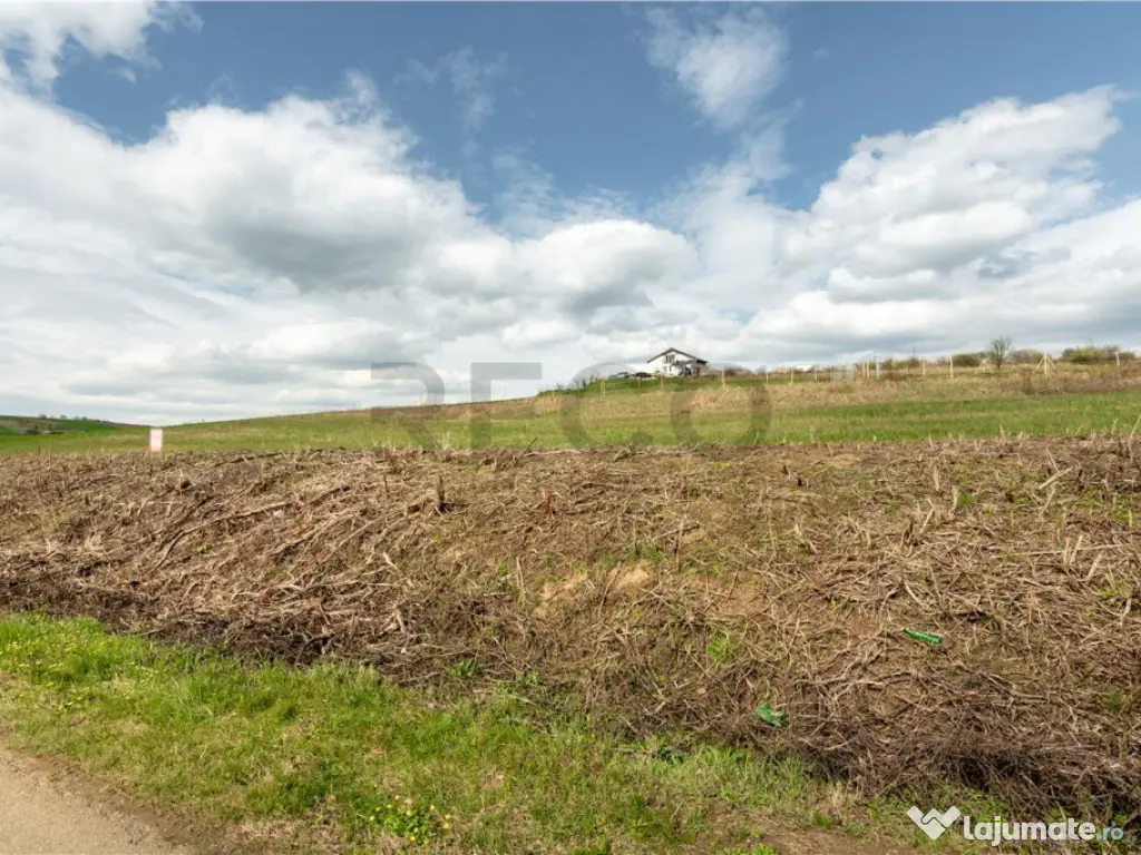 Teren intravilan Cetariu 