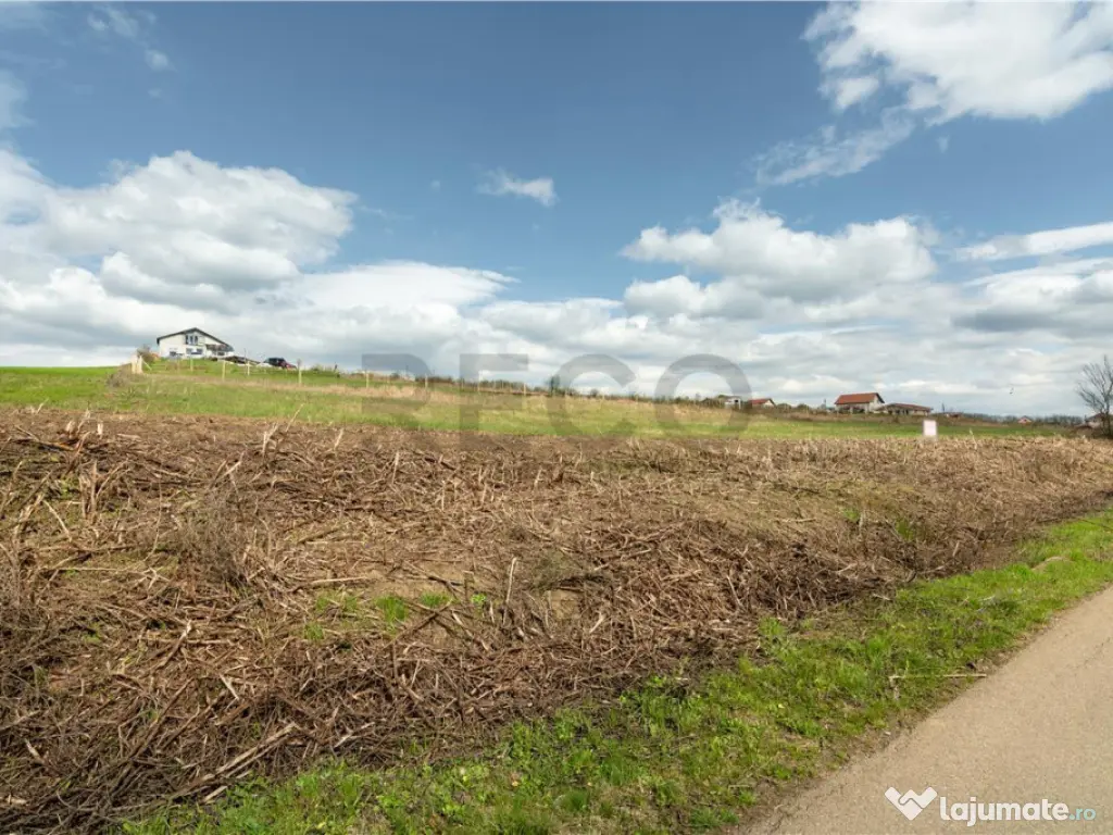 Teren intravilan Cetariu 