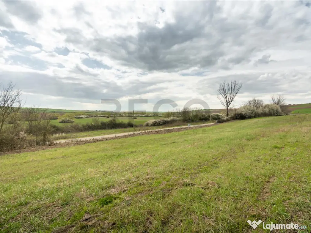 Teren intravilan Cetariu 