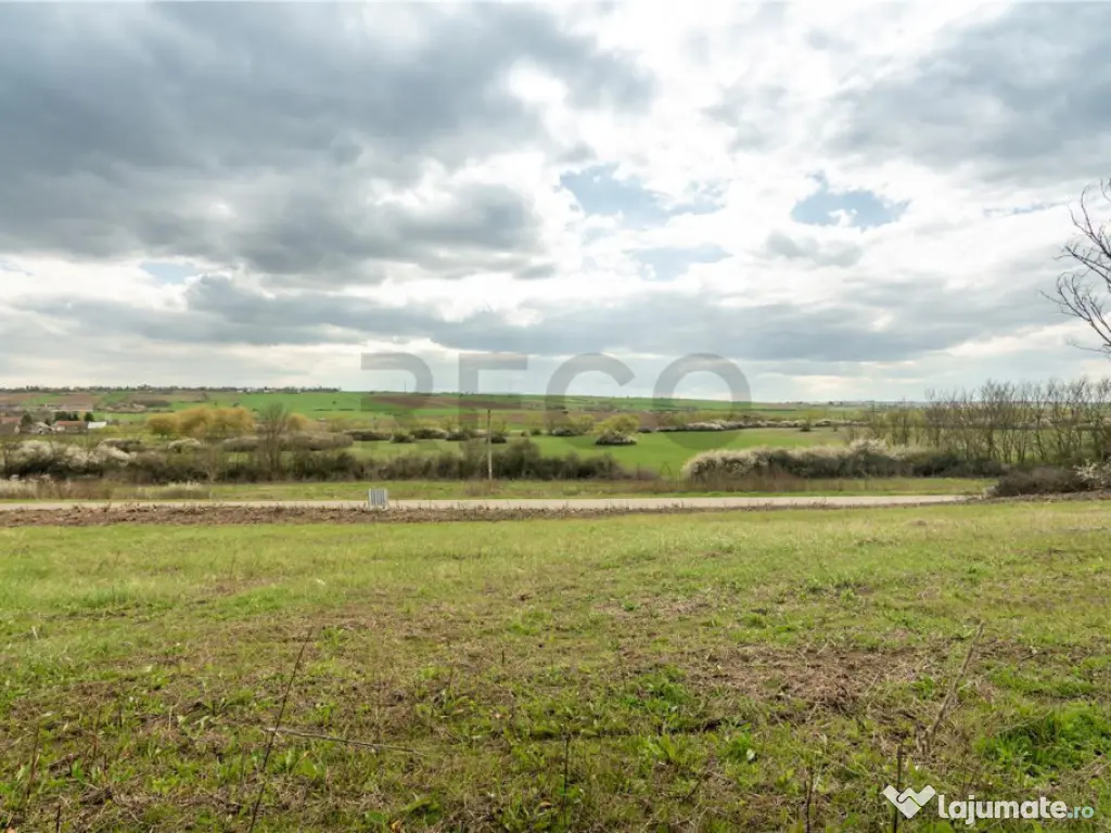 Teren intravilan Cetariu 