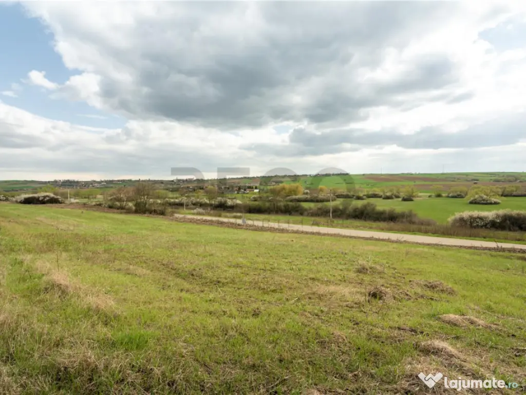 Teren intravilan Cetariu 