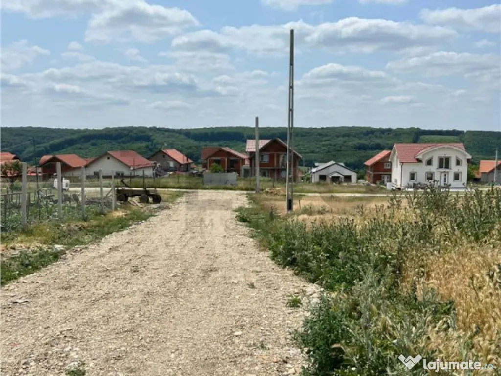 RECO teren de in zona Betfia 