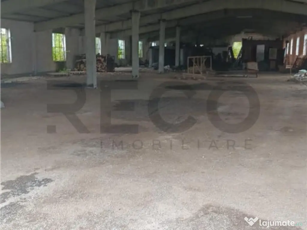 RECO Hale predestinate prelucrarea lemnului, loc. Auseu, sat 