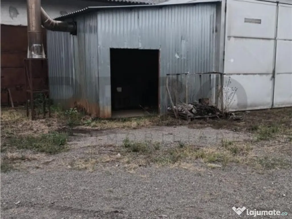 RECO Hale predestinate prelucrarea lemnului, loc. Auseu, sat 