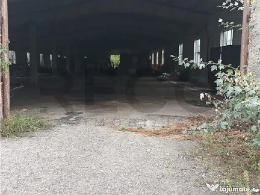 RECO Hale predestinate prelucrarea lemnului, loc. Auseu, sat 