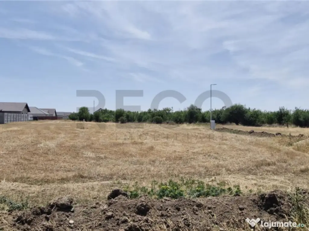 RECO Teren intravilan in Santandrei 