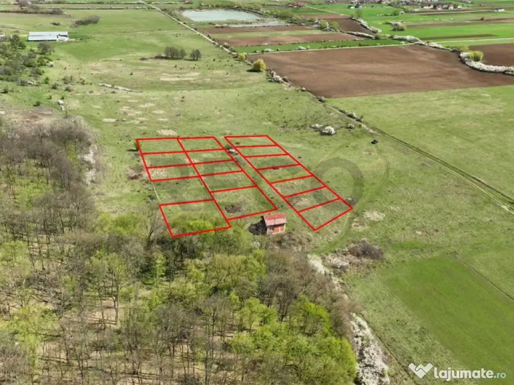 RECO , teren intravilan, Ineu,Bihor 