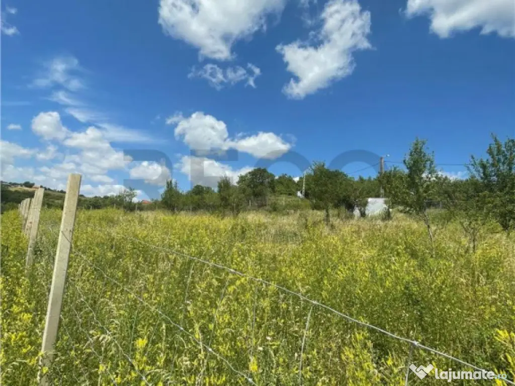 RECO Teren Extravilan Podgoria Oradea 