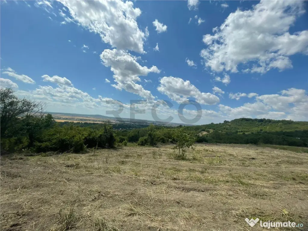 RECO Teren Extravilan Podgoria Oradea 