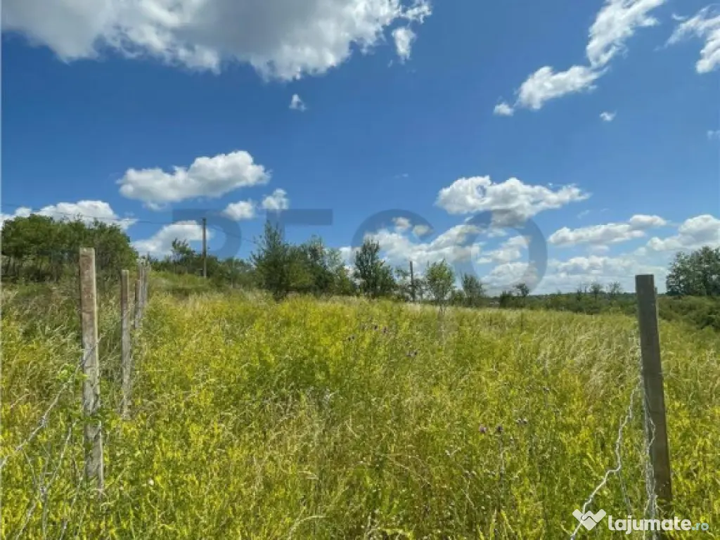 RECO Teren Extravilan Podgoria Oradea 