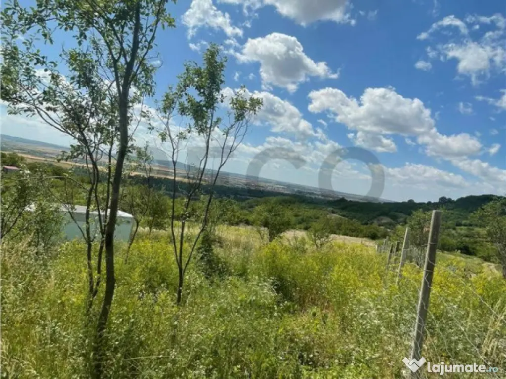 RECO Teren Extravilan Podgoria Oradea 