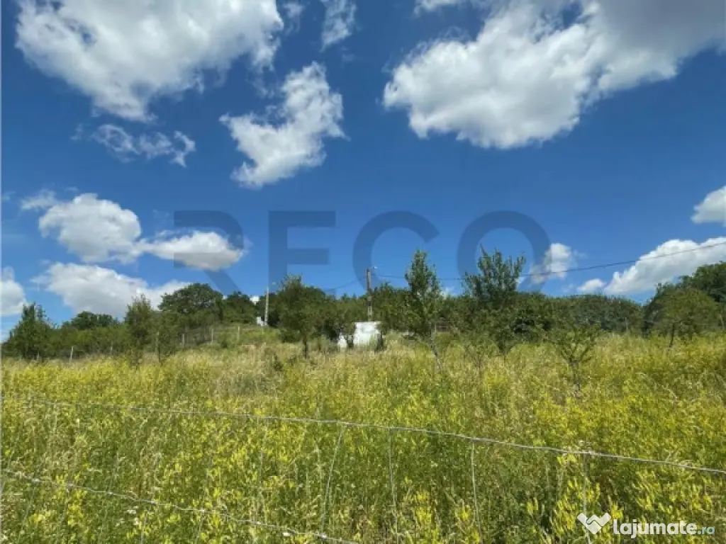 RECO Teren Extravilan Podgoria Oradea 