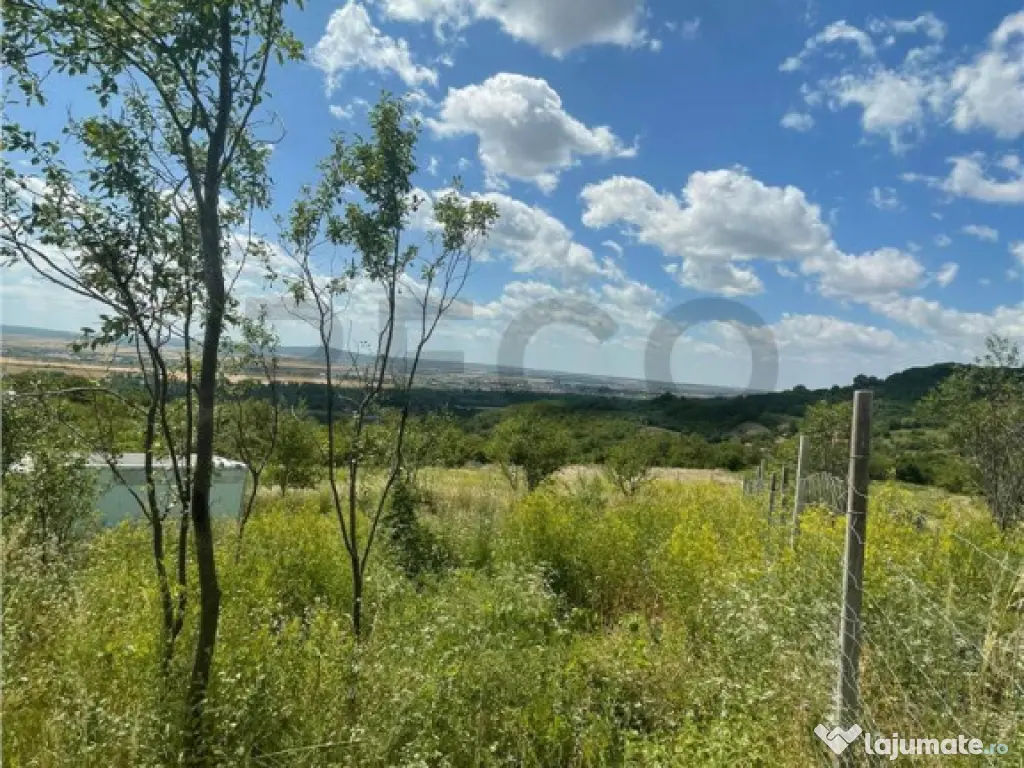 RECO Teren Extravilan Podgoria Oradea 