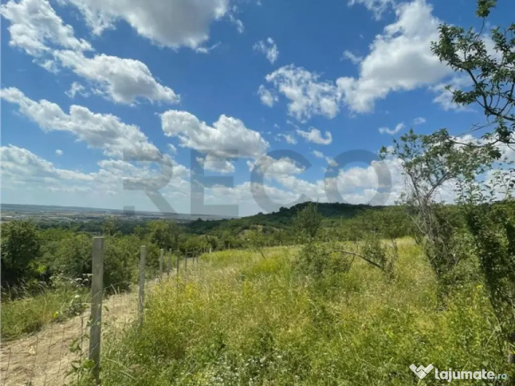 RECO Teren Extravilan Podgoria Oradea 