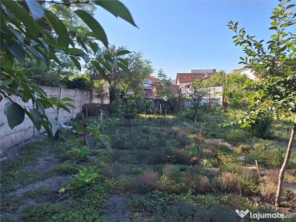 Reco, Casa Oradea Central 