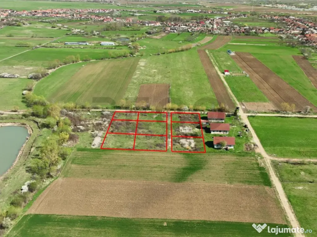 RECO , teren intravilan, Ineu,Bihor 