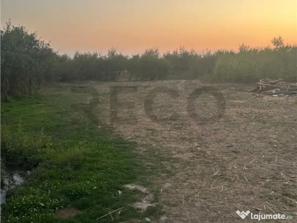 Casa in Cauasd la pret de teren 