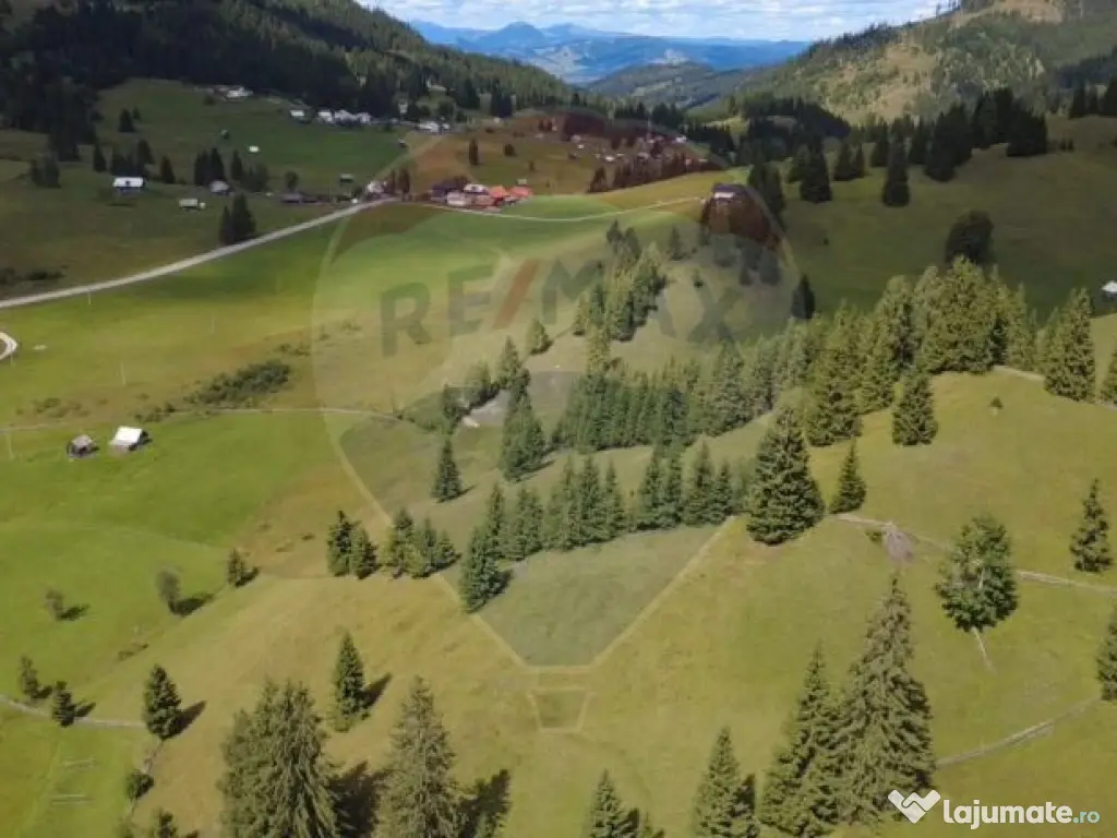 Teren de 14318m.p. în Paltinis, la 100m de strada Princi...