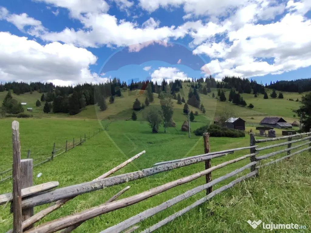Teren de 14318m.p. în Paltinis, la 100m de strada Princi...