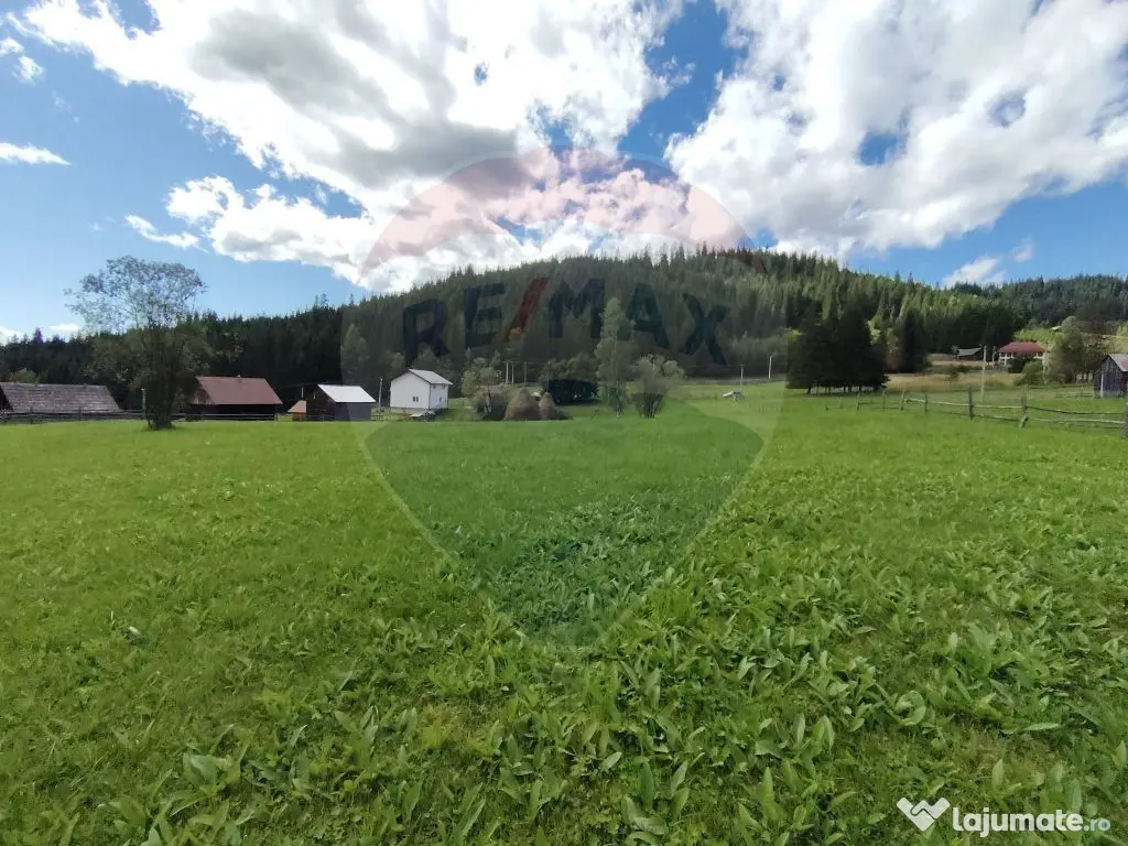 Teren de 14318m.p. în Paltinis, la 100m de strada Princi...