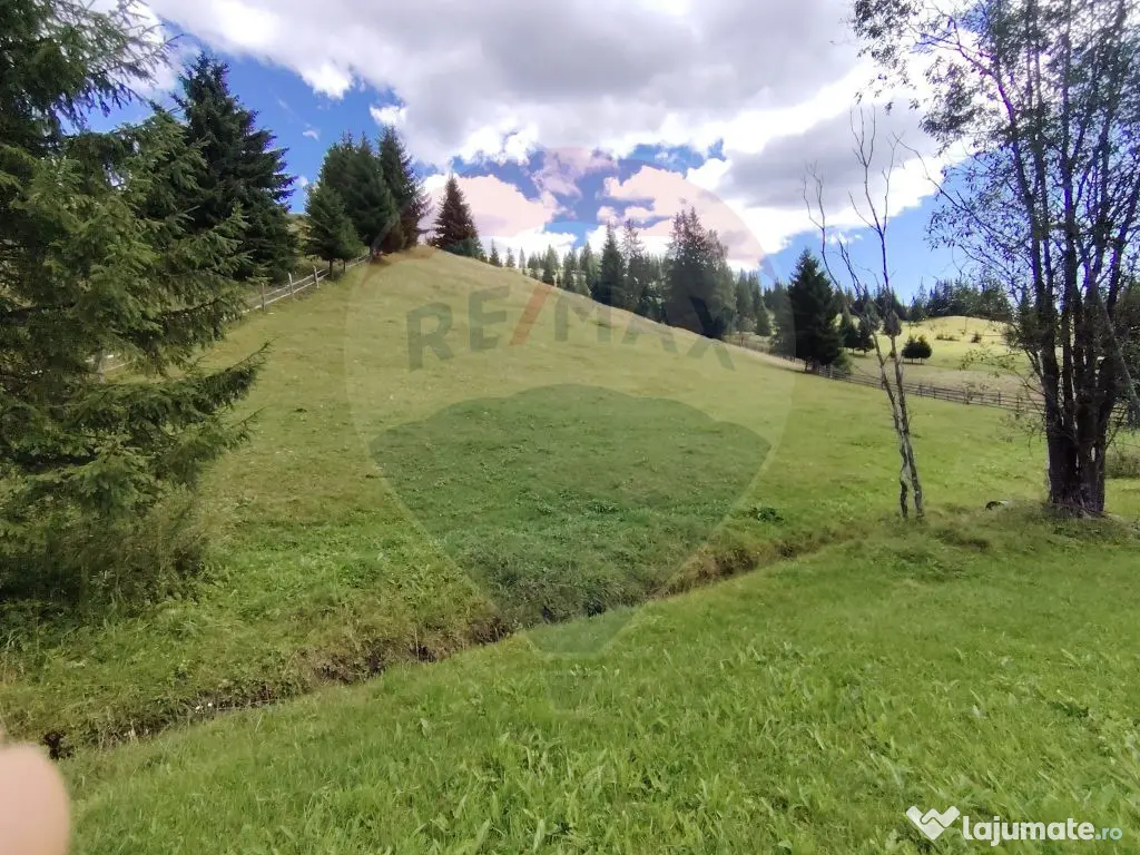 Teren de 14318m.p. în Paltinis, la 100m de strada Princi...