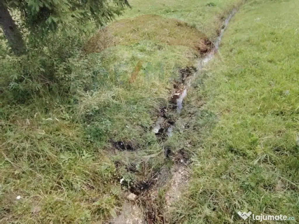 Teren de 14318m.p. în Paltinis, la 100m de strada Princi...