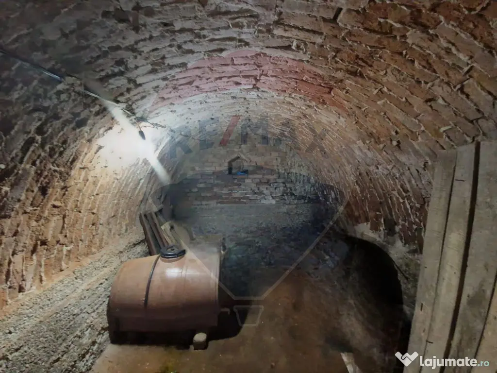 Casă / Vilă cu 3 camere de vânzare 