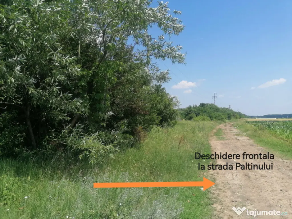 Teren intravilan, Tintea, 500 mp, neimprejmuit 