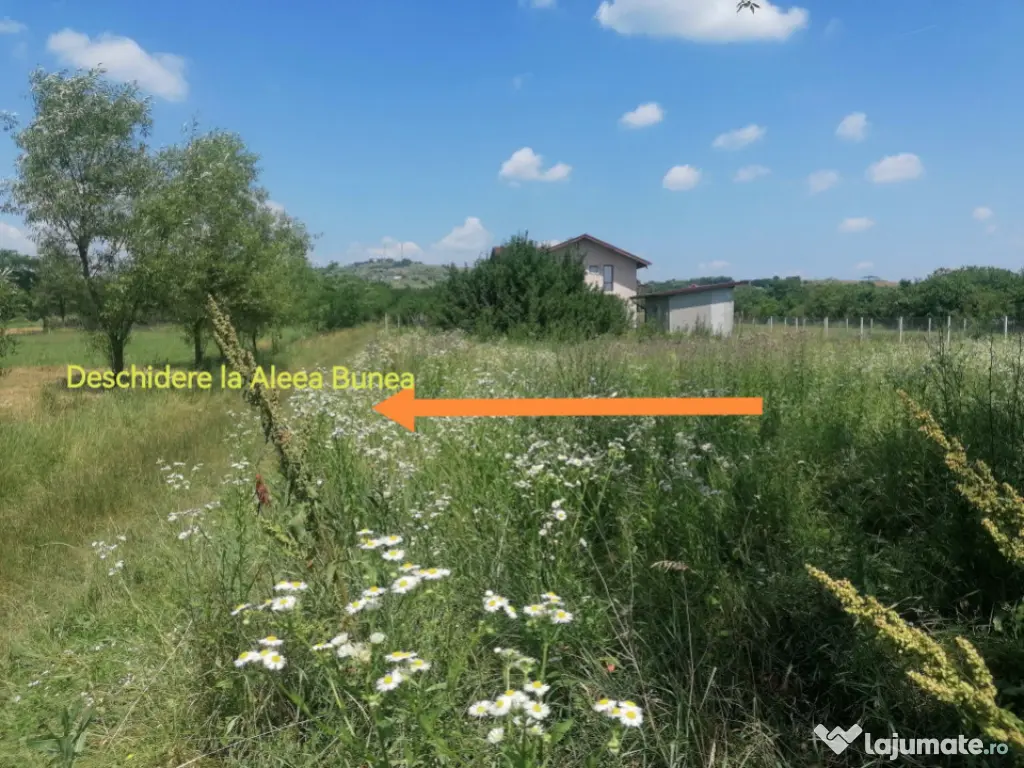 Teren intravilan, Tintea, 500 mp, neimprejmuit 