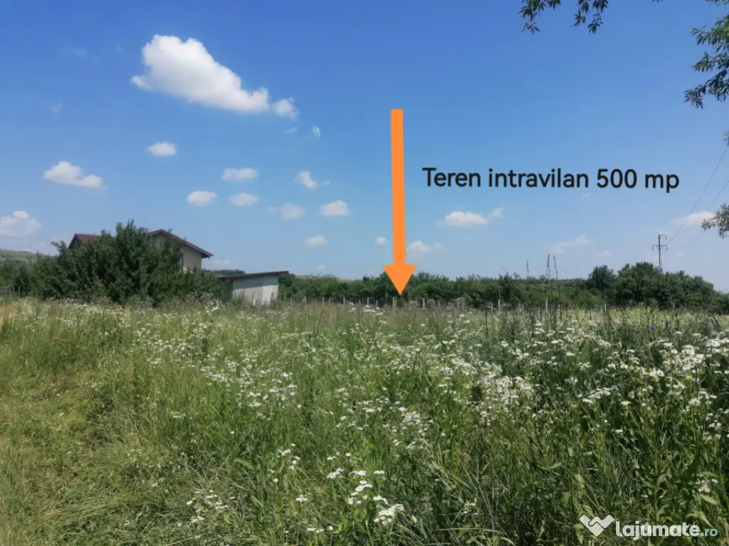 Teren intravilan, Tintea, 500 mp, neimprejmuit 