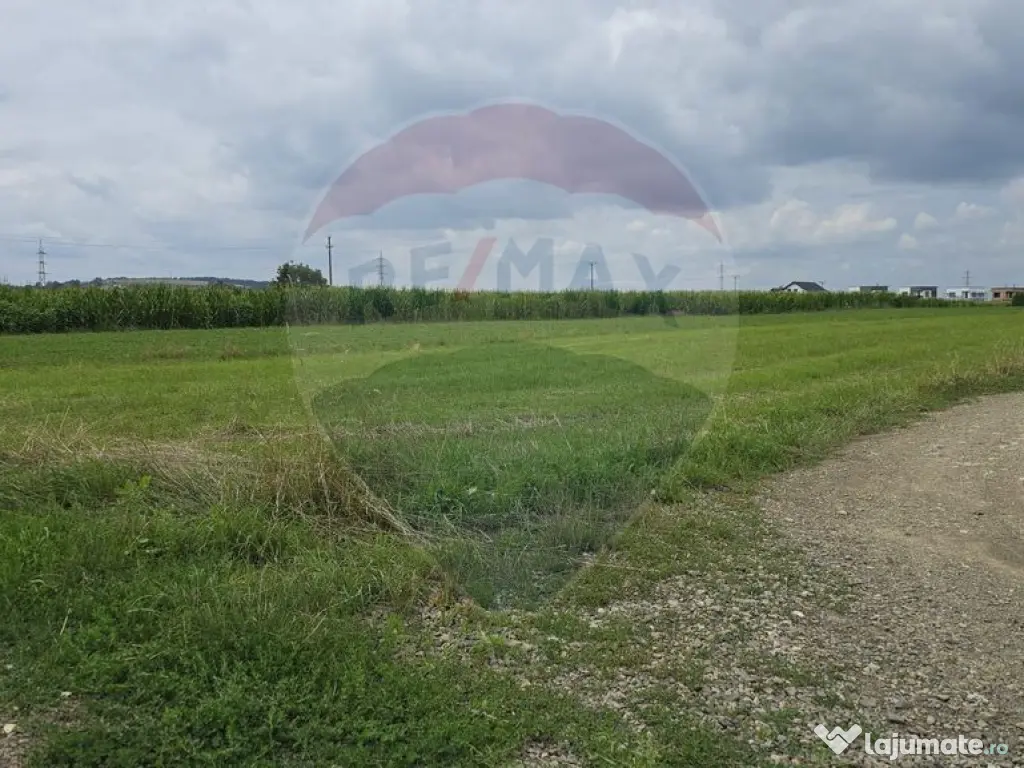 Teren 1,791mp Radauti / Strada Caramidariei 