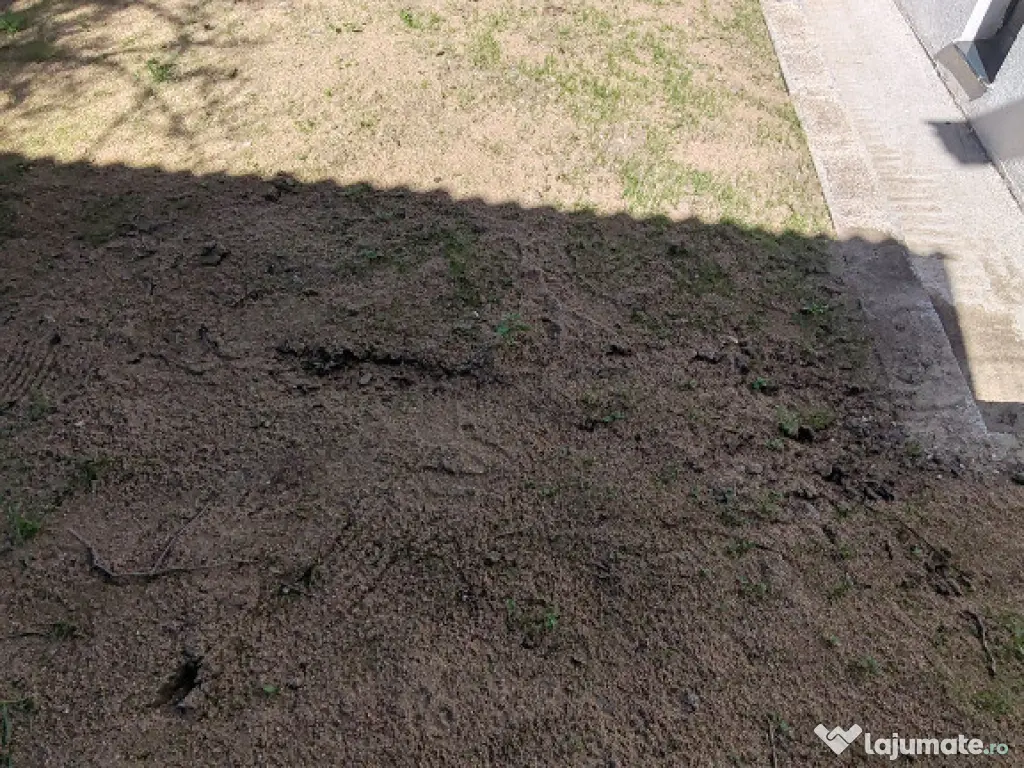 Casa individuala, semifinsata, Floresti