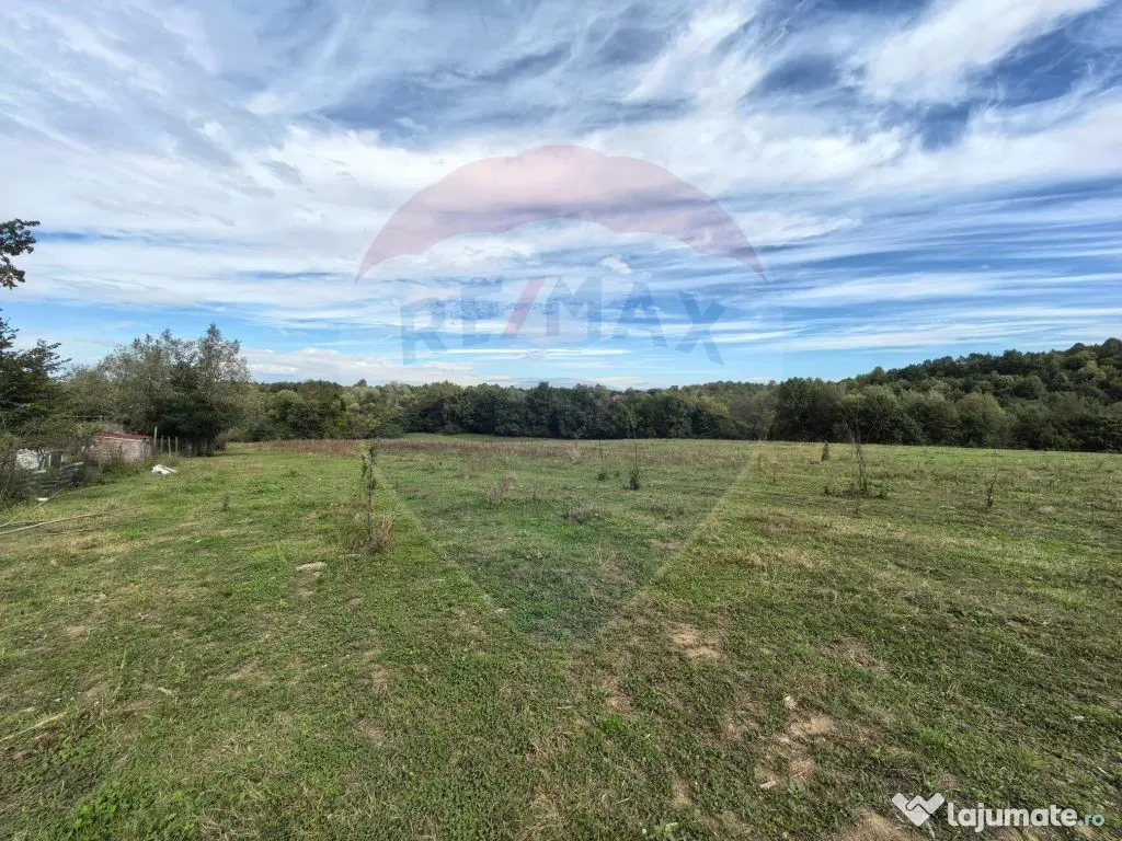 Teren 5,600mp Finteusu Mic / Strada Principala 