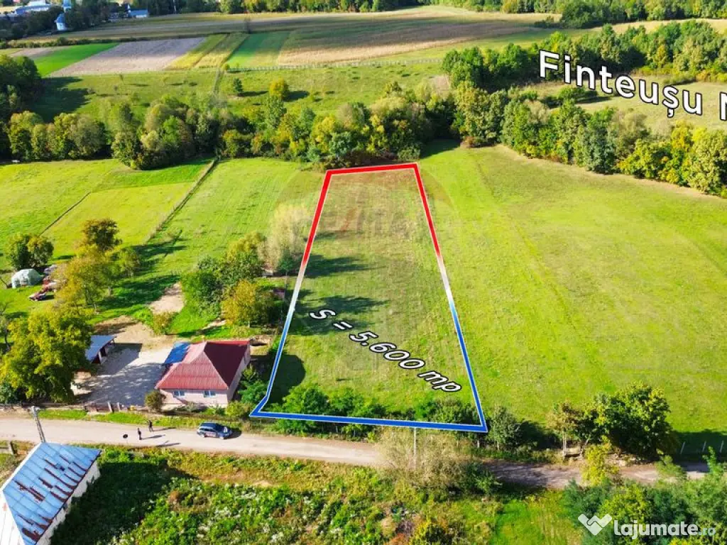 Teren 5,600mp Finteusu Mic / Strada Principala 