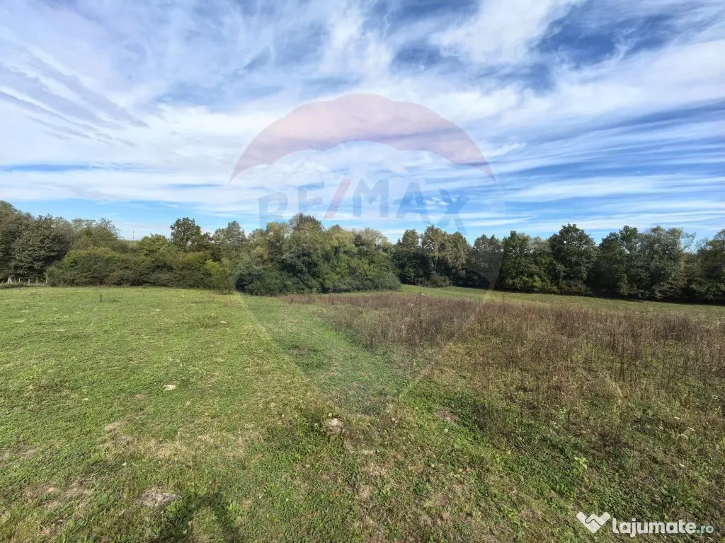 Teren 5,600mp Finteusu Mic / Strada Principala 