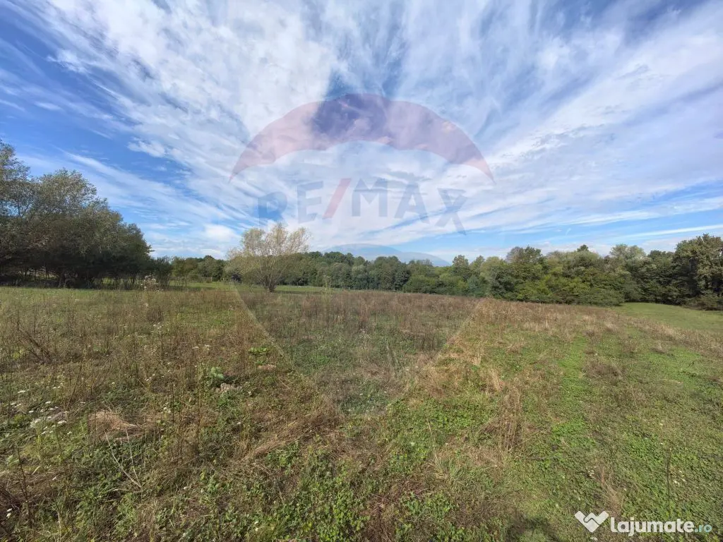 Teren 5,600mp Finteusu Mic / Strada Principala 