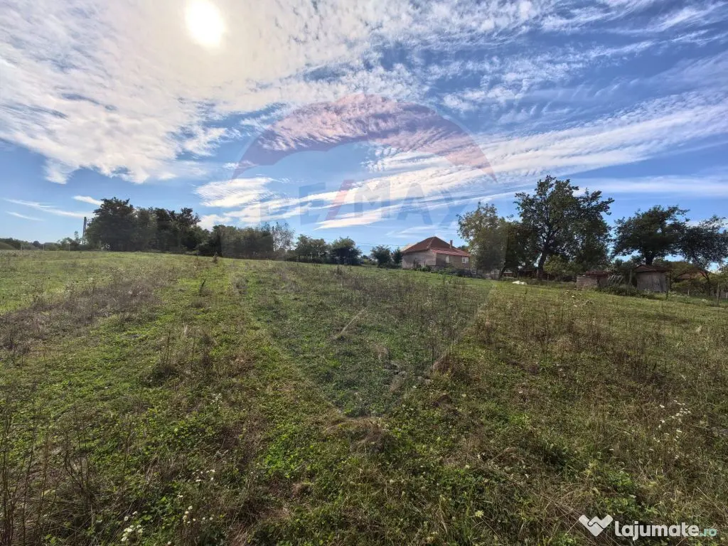 Teren 5,600mp Finteusu Mic / Strada Principala 