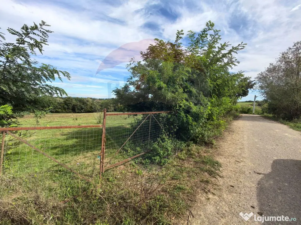 Teren 5,600mp Finteusu Mic / Strada Principala 