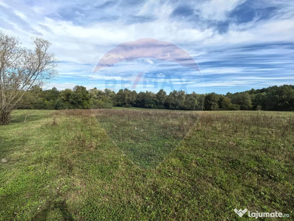 Teren 5,600mp Finteusu Mic / Strada Principala 