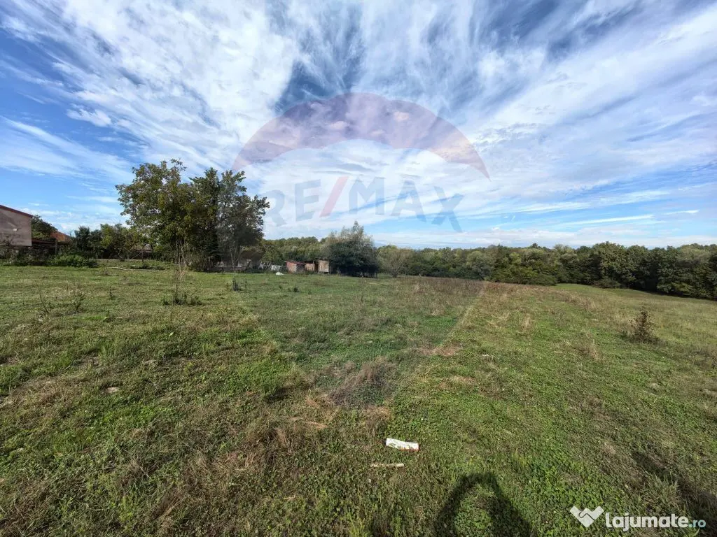 Teren 5,600mp Finteusu Mic / Strada Principala 