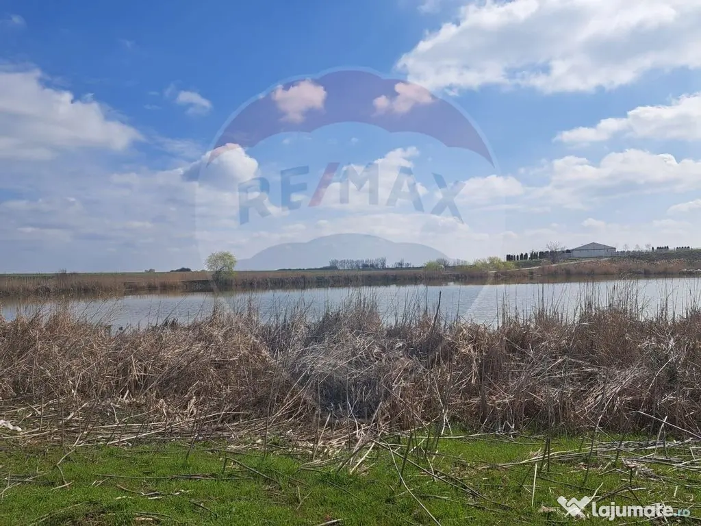 Teren Frumusani DN4 2000 mp + 5000 mp deschidere Lac Pasarea 